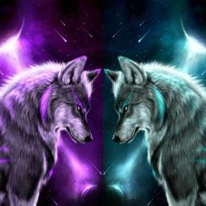 Meet your Posher, Daisuke